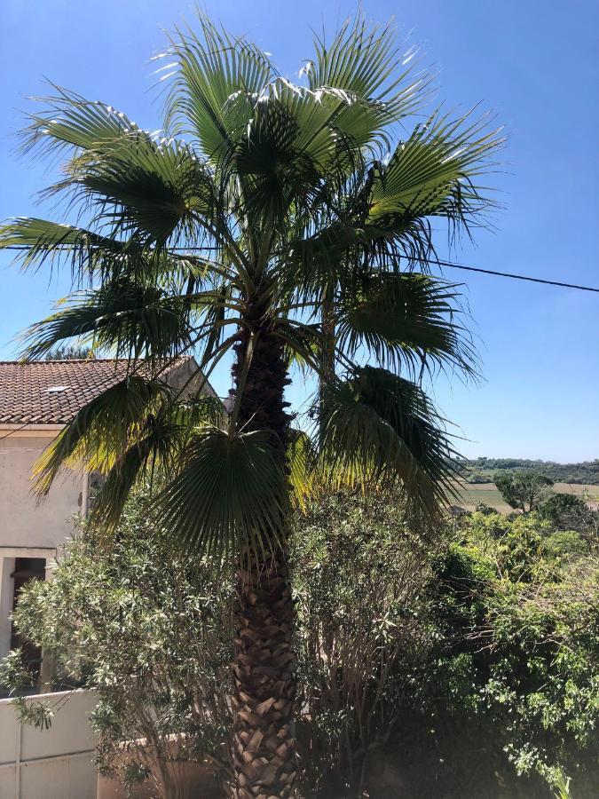 Gite Le Palmier - Perfectly Located Cosy Studio With Private Garden Puissalicon エクステリア 写真